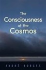 André Borges - The Consciousness of the Cosmos