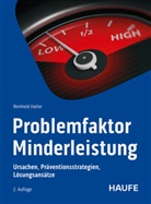Reinhold Haller, Reinhold (Dr.) Haller - Problemfaktor Minderleistung