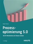 Rupert Hierzer - Prozessoptimierung 5.0