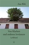 Ana Bilic - Von Klarheit und anderen Irrtümern