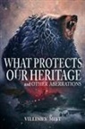 Villimey Mist, S. D. Vassallo - What Protects Our Heritage and Other Aberrations