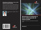 Zhuang Li - Rimozione di potassio e ferro nella bauxite di basso grado