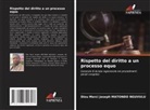 Dieu Merci Joseph Matondo Nguvulu - Rispetto del diritto a un processo equo