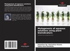 Isane Vera Karsburg, Jaqueline Ap. Gonçalves Soares - Mutagenesis of aqueous solutions using plant bioindicators