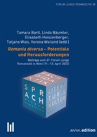 Tamara Bartl, Linda Bäumler, Elisabeth Heiszenberger, Tatjana Wais, Verena Weiland - Romania diversa - Potentiale und Herausforderungen