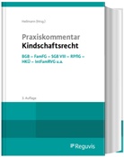 Stefan Heilmann - Praxiskommentar Kindschaftsrecht