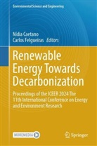 Nídia Caetano, Felgueiras, Carlos Felgueiras - Renewable Energy Towards Decarbonization