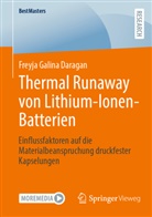 Freyja Galina Daragan - Thermal Runaway von Lithium-Ionen-Batterien