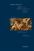 Matthias Bauer, Matthias Bauer et al, Annette Gerok-Reiter, Anna Pawlak, Jörg Robert - Different Aesthetics