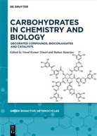 Banerjee, Bubun Banerjee, Vinod Kumar Tiwari, Vinod Kumar Tiwari - Carbohydrates in Chemistry and Biology