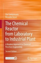 Elio Santacesaria, Riccardo Tesser - The Chemical Reactor from Laboratory to Industrial Plant