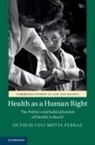 Octávio Luiz Motta Ferraz, Octavio Luiz Motta (King''s College London Ferraz - Health As a Human Right