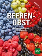 Andreas Fischerauer, Christian Gosch, Christian Haselmair-Gosch, H Weiss, Helmut Weiß, Manfred Wiesenhofer - Beerenobst