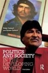 Peter Calvert, Susan Calvert - Politics and Society in the Developing World