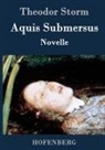 Theodor Storm - Aquis Submersus