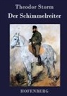 Theodor Storm, Theodor Storm - Der Schimmelreiter