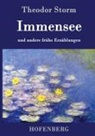 Theodor Storm, Theodor Storm - Immensee