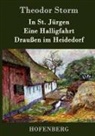 Theodor Storm - In St. Jürgen / Eine Halligfahrt / Draußen im Heidedorf