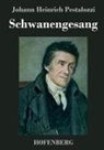 Johann Heinrich Pestalozzi, Johann Heinrich Pestalozzi - Schwanengesang