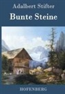 Adalbert Stifter, Adalbert Stifter - Bunte Steine