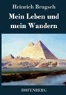 Heinrich Brugsch, Heinrich Brugsch - Mein Leben und mein Wandern