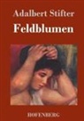 Adalbert Stifter - Feldblumen