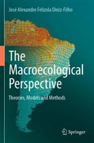 José Alexandre Felizola Diniz-Filho - The Macroecological Perspective