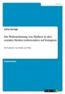 Celina Berlage - Die Wahrnehmung von Marken in den sozialen Medien insbesondere auf Instagram