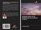 Fardis Nakhaei - Sviluppi delle vie di flottazione dei minerali di ferro