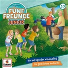 Enid Blyton - Fünf Freunde JUNIOR - Ein aufregender Waldausflug / Die gestohlene Buchseite, 1 Audio-CD (Hörbuch)