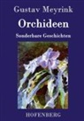 Gustav Meyrink - Orchideen