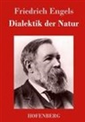 Friedrich Engels - Dialektik der Natur