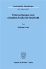 Wilhelm Preuß - Untersuchungen zum erlaubten Risiko im Strafrecht.