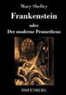 Mary Shelley - Frankenstein oder Der moderne Prometheus