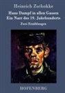 Heinrich Zschokke, Heinrich Zschokke - Hans Dampf in allen Gassen / Ein Narr des Neunzehnten Jahrhunderts