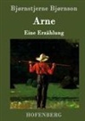Bjørnstjerne Bjørnson, Bjørnstjerne Bjørnson - Arne