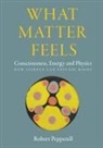 Robert Pepperell - What Matter Feels