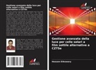 Hossam ElAnzeery - Gestione avanzata della luce per celle solari a film sottile alternative a CZTSe