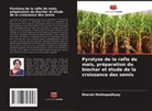 Bharati Mukhopadhyay - Pyrolyse de la rafle de maïs, préparation du biochar et étude de la croissance des semis