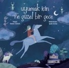 Sanem Öztürk - Uyumak Icin Ne Güzel Bir Gece