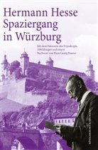 Hermann Hesse - Hermann Hesse: Spaziergang in Würzburg