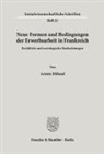 Armin Höland - Neue Formen und Bedingungen der Erwerbsarbeit in Frankreich.