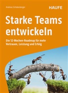 Andreas Schobesberger - Starke Teams entwickeln