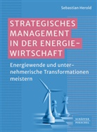 Sebastian Herold - Strategisches Management in der Energiewirtschaft