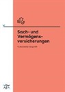 Thomas Hirt, Rita-Maria Züger - Sach- und Vermögensversicherungen