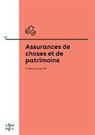 Thomas Hirt, Rita-Maria Züger - Assurances de choses et de patrimoine