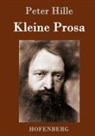 Peter Hille - Kleine Prosa