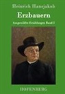 Heinrich Hansjakob - Erzbauern