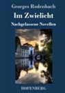 Georges Rodenbach - Im Zwielicht
