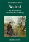 Dr Cäsar Flaischlen, Cäsar Flaischlen - Neuland